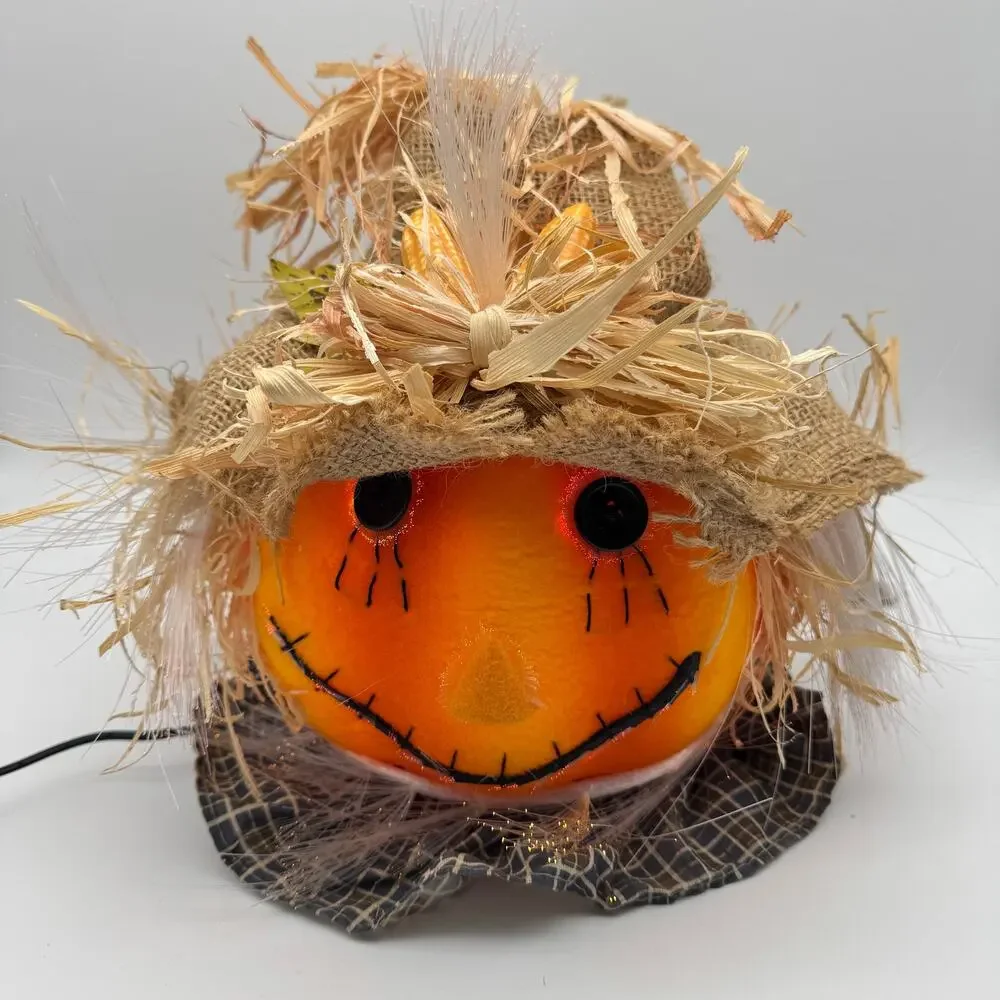 Pumpkin Hollow Fiber Optic Scarecrow Halloween Decor 11